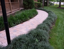 paver walkway